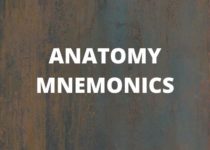 ANATOMY MNEMONICS