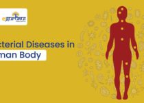 Bacterial Diseases in Human Body