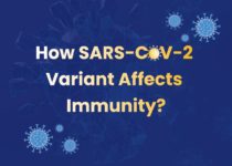 effects of omicron variant on immunity